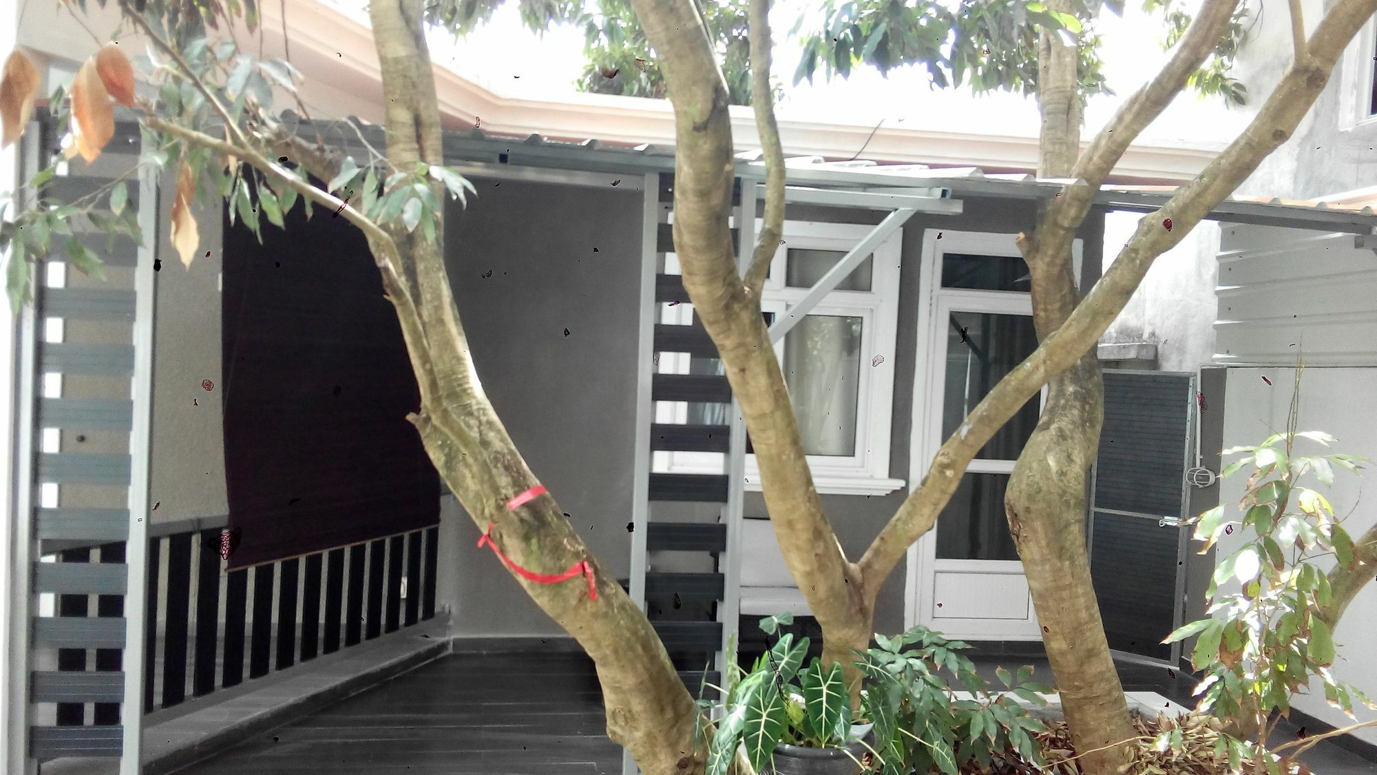 Residence Les Bambous Mahebourg Exterior photo